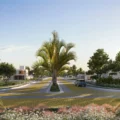 jardins lyon 7